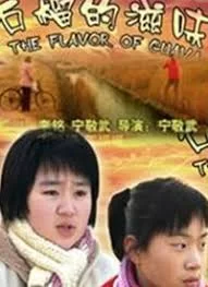 石榴的滋味海报