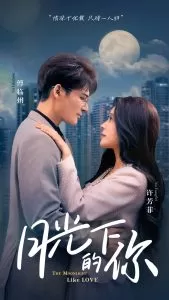 月光下的你海报