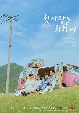 初次,为了爱海报