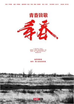 青春致敬青春海报