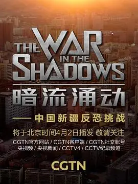 暗流涌动-中国新疆反恐挑战海报