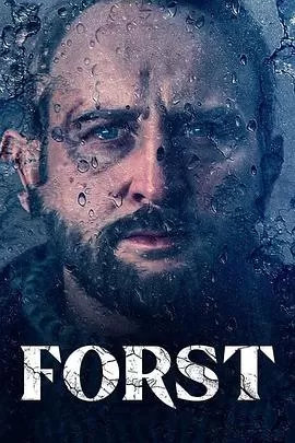 侦探福斯特第一季海报