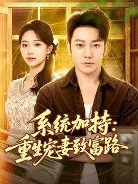 系统加持:重生宠妻致富路海报