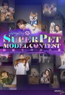 超级毛特儿大赛(粤语)海报