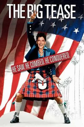 天才的玩笑海报