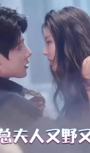 陆总夫人又野又甜海报