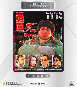一对活宝闯天下海报