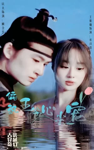 偏执王爷心尖宠海报