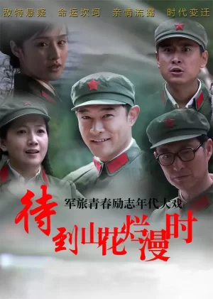 待到山花烂漫时海报