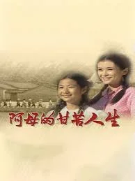 阿母的甘苦人生海报