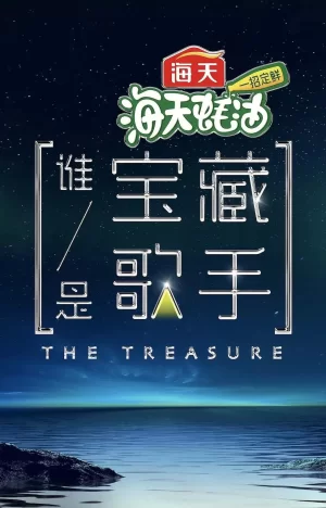 谁是宝藏歌手海报