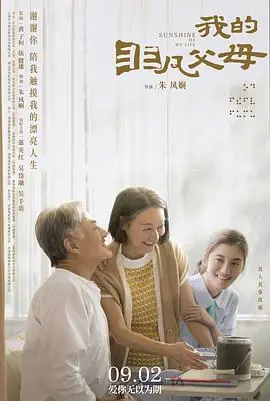 我的非凡父母(国语)海报