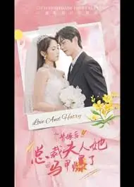替嫁后,总裁夫人她马甲爆了海报