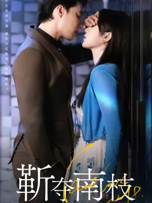 靳夺南枝海报