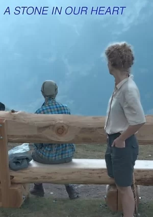 我们心中的一块石头海报