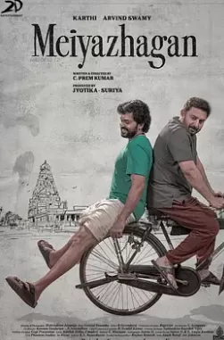 美丽的真相海报