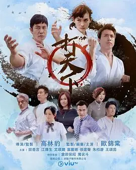 打天下(粤语)海报