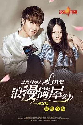 反恐行动之浪漫满屋海报