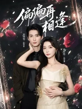 偏偏再相逢海报