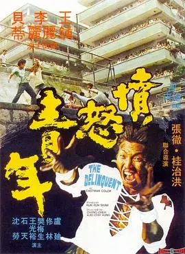 愤怒青年海报