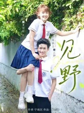 见野海报