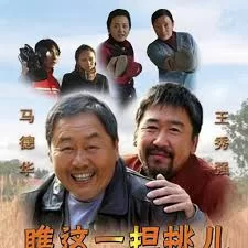 瞧这一担挑儿海报