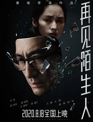再见,陌生人海报