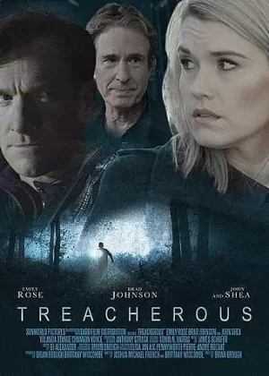 男友的诡计海报