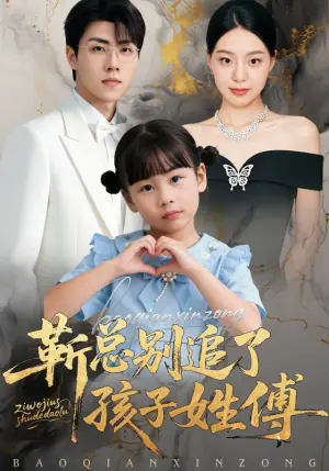 靳总别追了,孩子姓傅海报