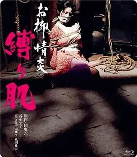 欲火中烧:被捆绑的肌肤海报