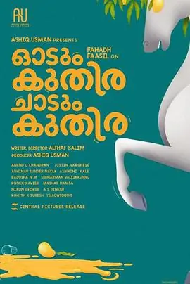 一匹马奔跑,一匹马跳跃海报