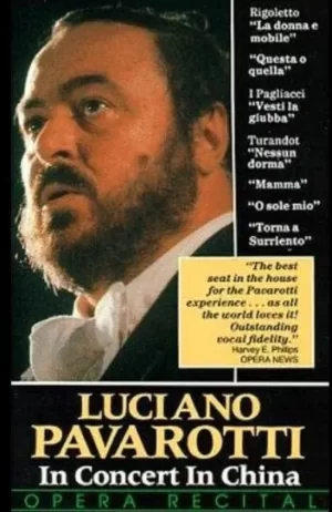 遥远的和谐海报