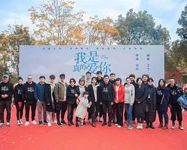 我是真的爱你海报