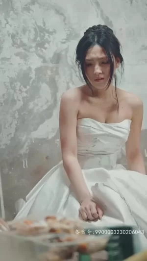 请跟我的老公结婚吧海报