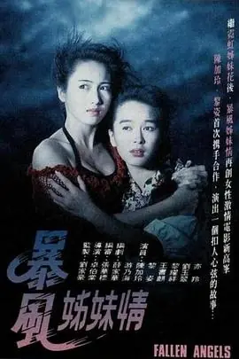 暴风姊妹情(粤语)海报