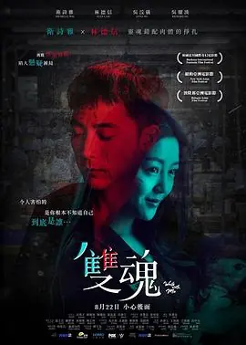 双魂(粤语)海报