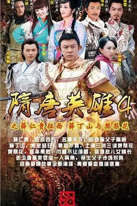 隋唐英雄4DVD版海报