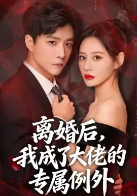 离婚后,我成了大佬的专属例外海报