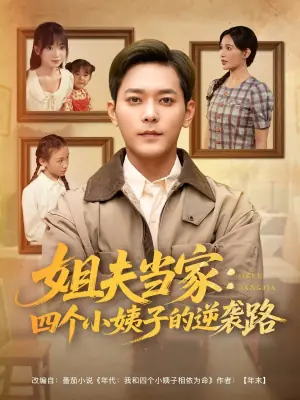姐夫当家:四个小姨子的逆袭路海报