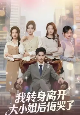 我转身离开,大小姐后悔哭了海报