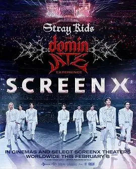 StrayKids:主宰一切的体验海报