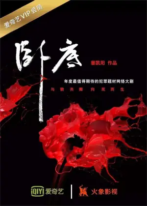 卧底第一季海报