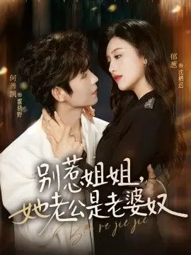 别惹姐姐,她老公是老婆奴海报