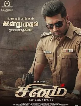 愤怒的警官[电影解说]海报