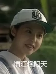 情汇艳阳天海报