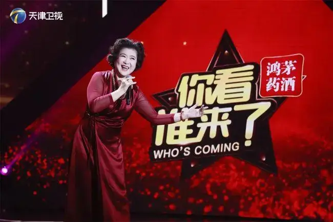你看谁来了2019海报