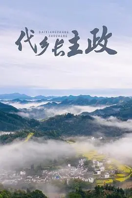 代乡长主政1080P(高清SDR)海报
