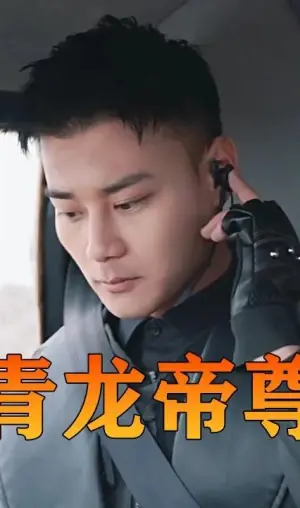 青龙帝尊海报