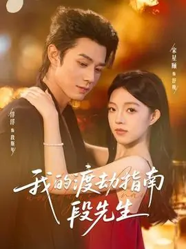 我的渡劫指南段先生海报