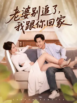 老婆别追了,我跟你回家海报